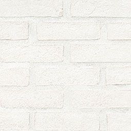 Alpine White Reclaimed Clay Brick Tile Thumb