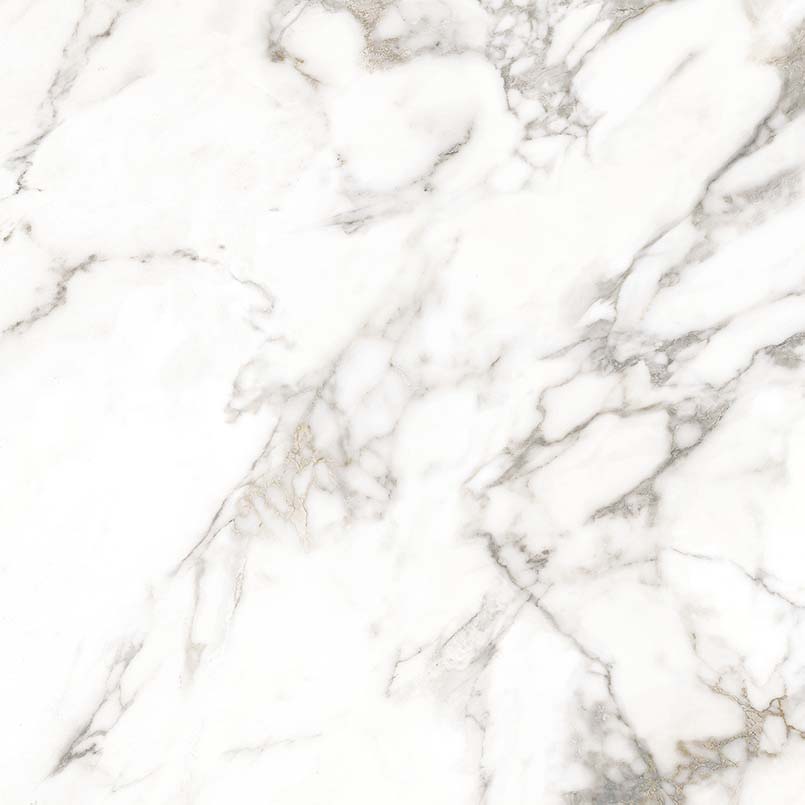 Arabescato Visio Porcelain Slab Thumb