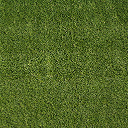 EMERALD TURF PRECUT 81