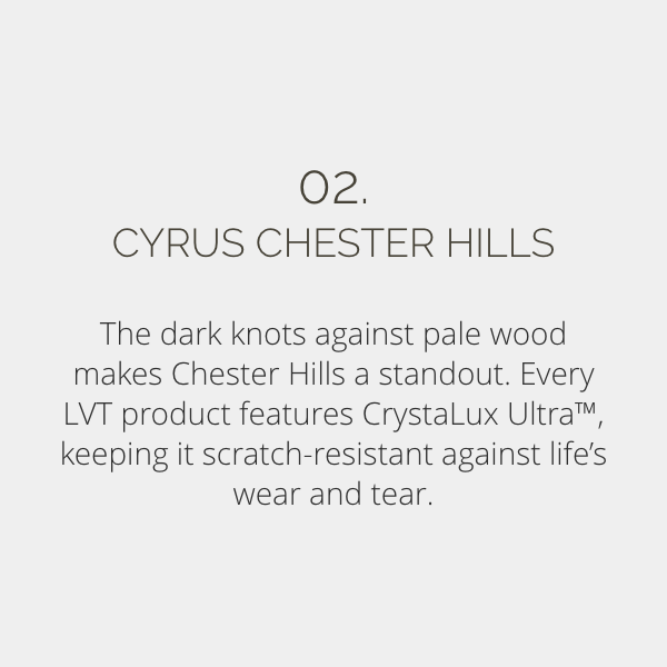 02. Cyrus Chester Hills